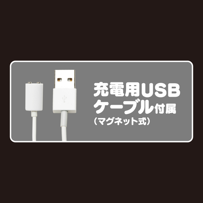 GPRO　BLACK　ROTOR　［HEATING］     UGPR-209 商品説明画像10