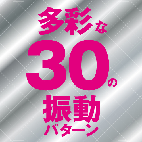 すぐイカせデンマ(Ecstasy DENMA)トイズハート百戦錬磨シリーズ 商品説明画像3
